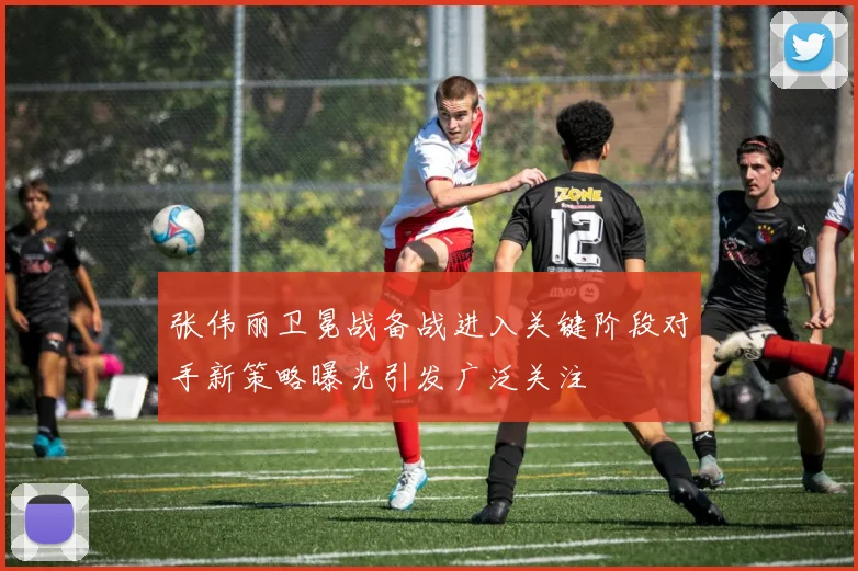 张伟丽卫冕战备战进入关键阶段对手新策略曝光引发广泛关注